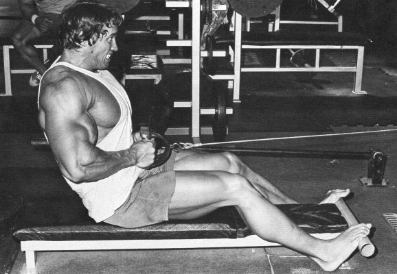 photo 29 in Arnold Schwarzenegger gallery [id86463] -0001-11-30 00:00:00